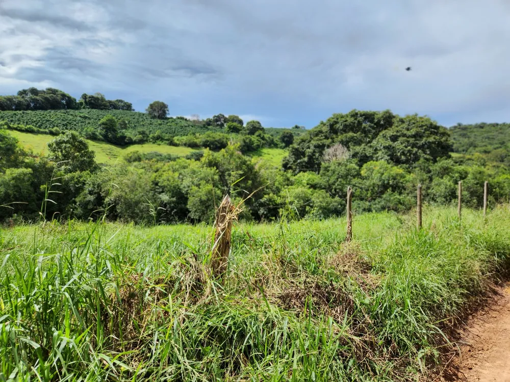 Fazenda, 121 hectares - Foto 10