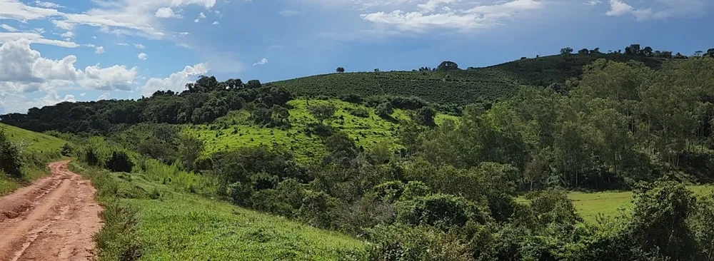 Fazenda, 121 hectares - Foto 5
