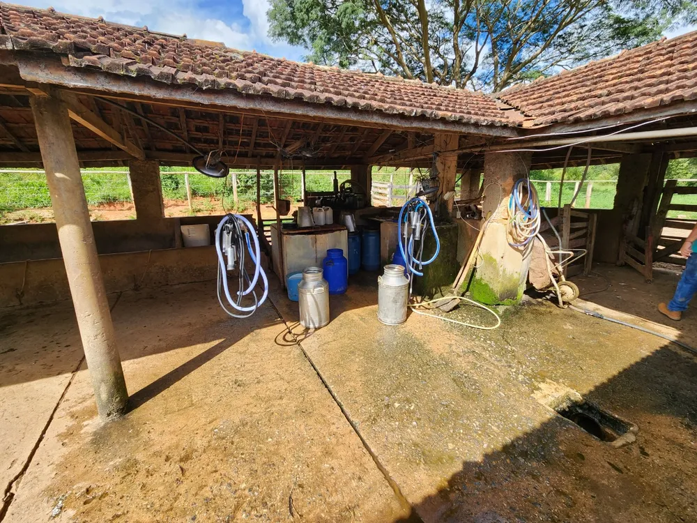 Fazenda, 121 hectares - Foto 11