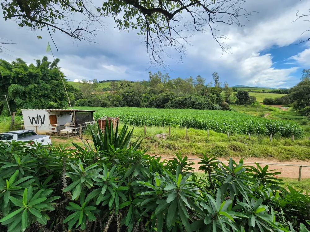 Fazenda, 121 hectares - Foto 6