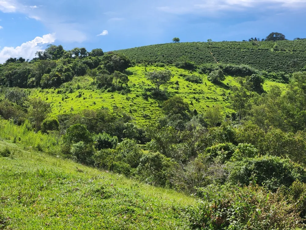 Fazenda, 121 hectares - Foto 12