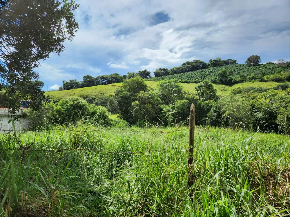Fazenda, 121 hectares - Foto 7