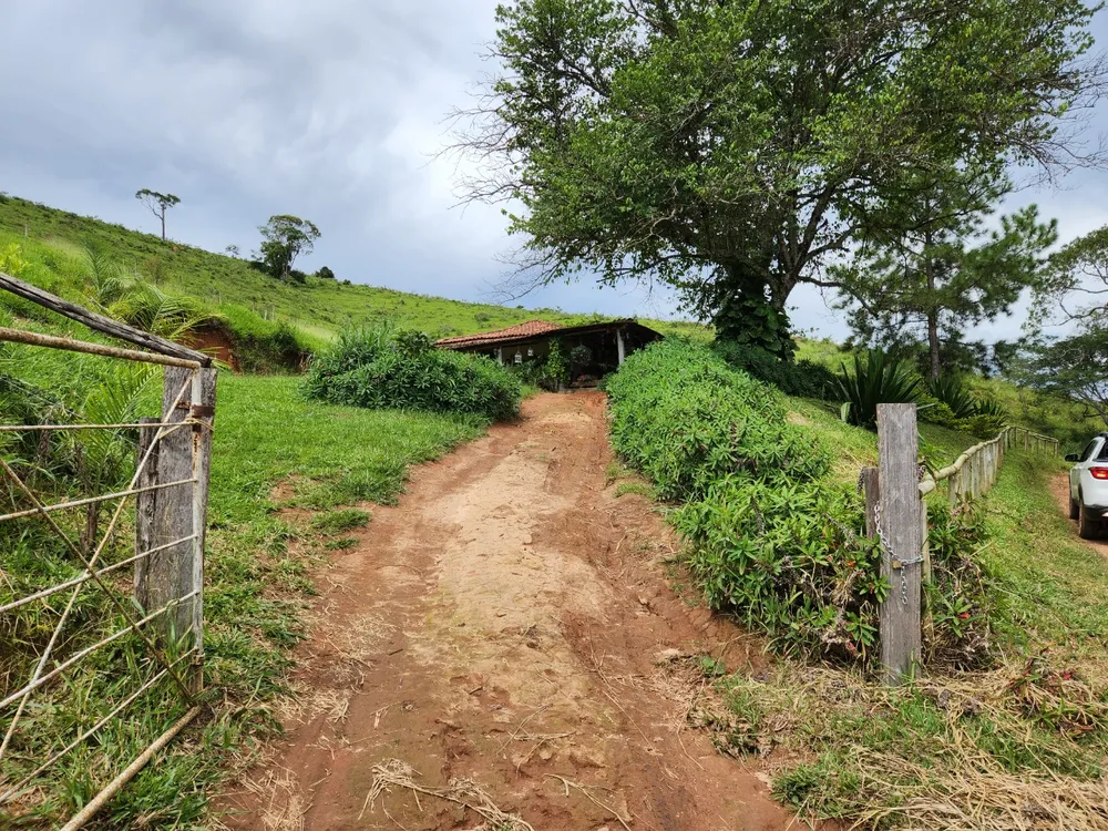 Fazenda, 121 hectares - Foto 13