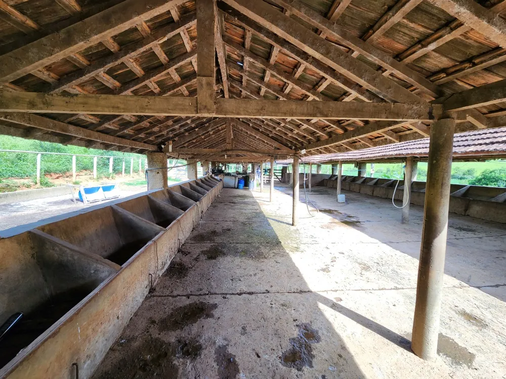 Fazenda, 121 hectares - Foto 2