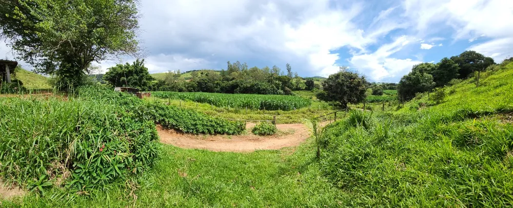 Fazenda, 121 hectares - Foto 9