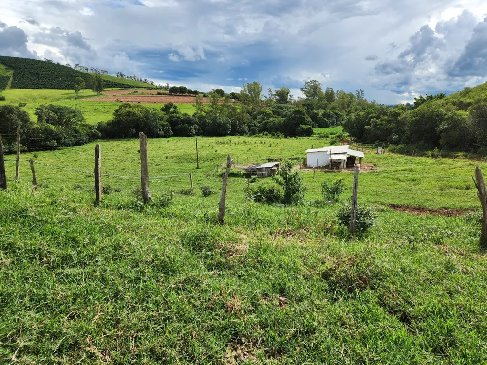 Fazenda, 121 hectares - Foto 8
