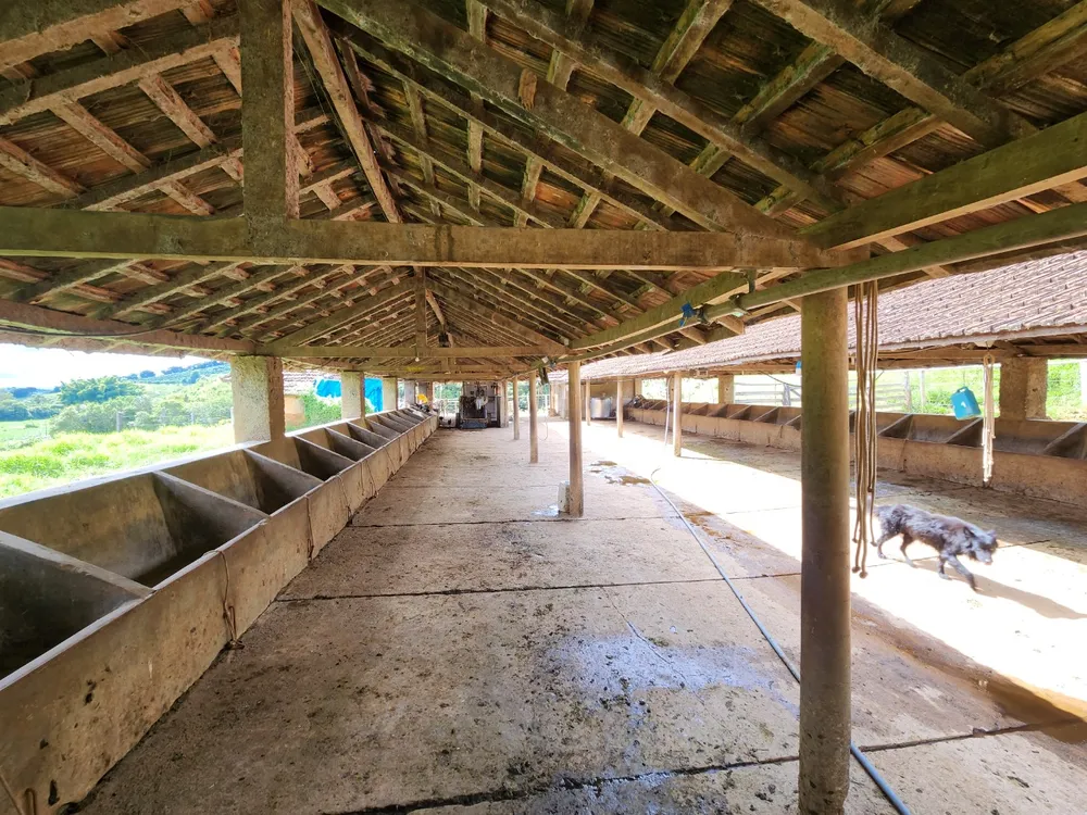 Fazenda, 121 hectares - Foto 24