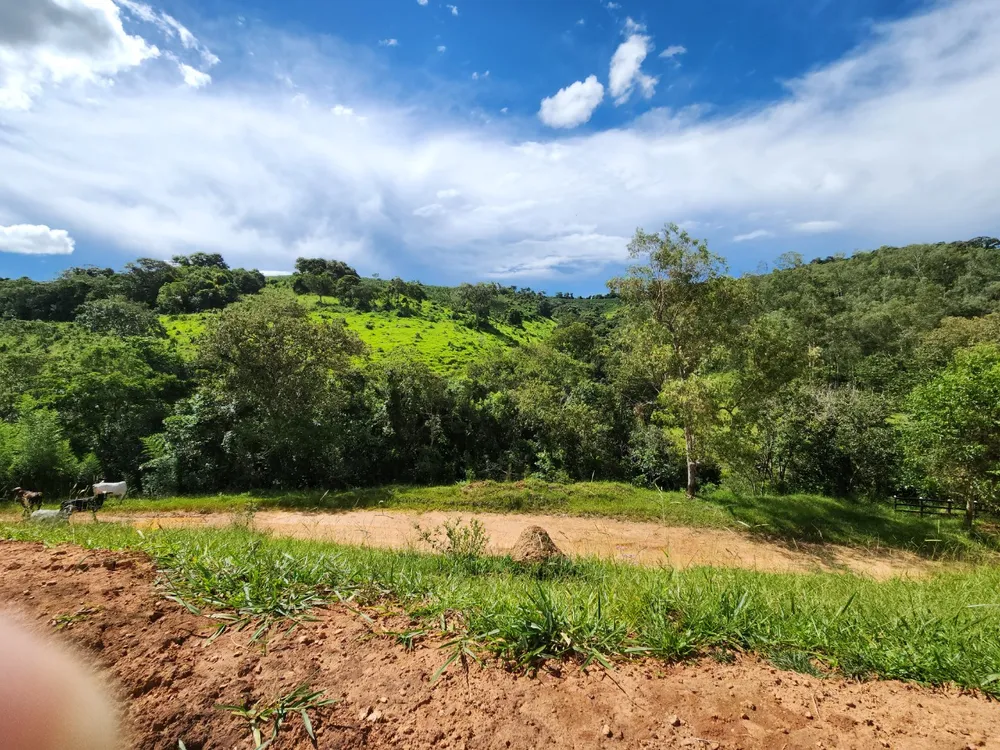 Fazenda, 121 hectares - Foto 15