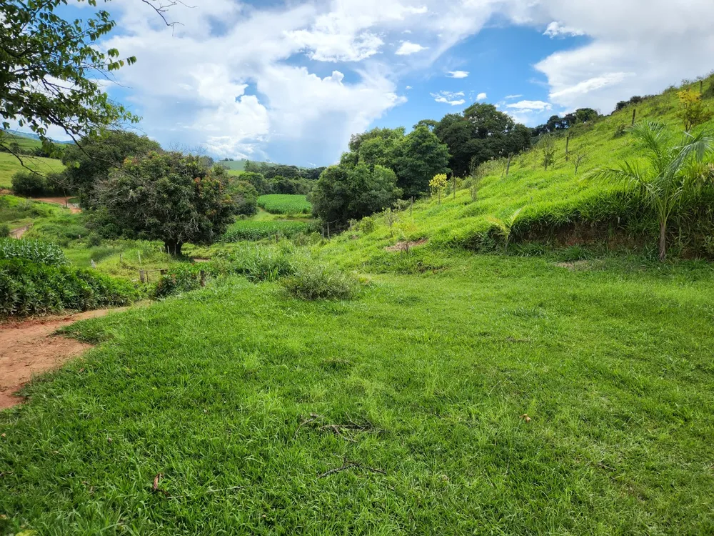 Fazenda, 121 hectares - Foto 8
