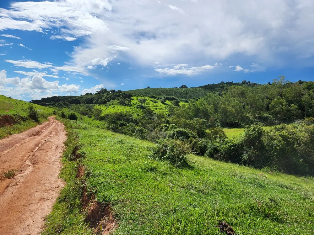 Fazenda, 121 hectares - Foto 17