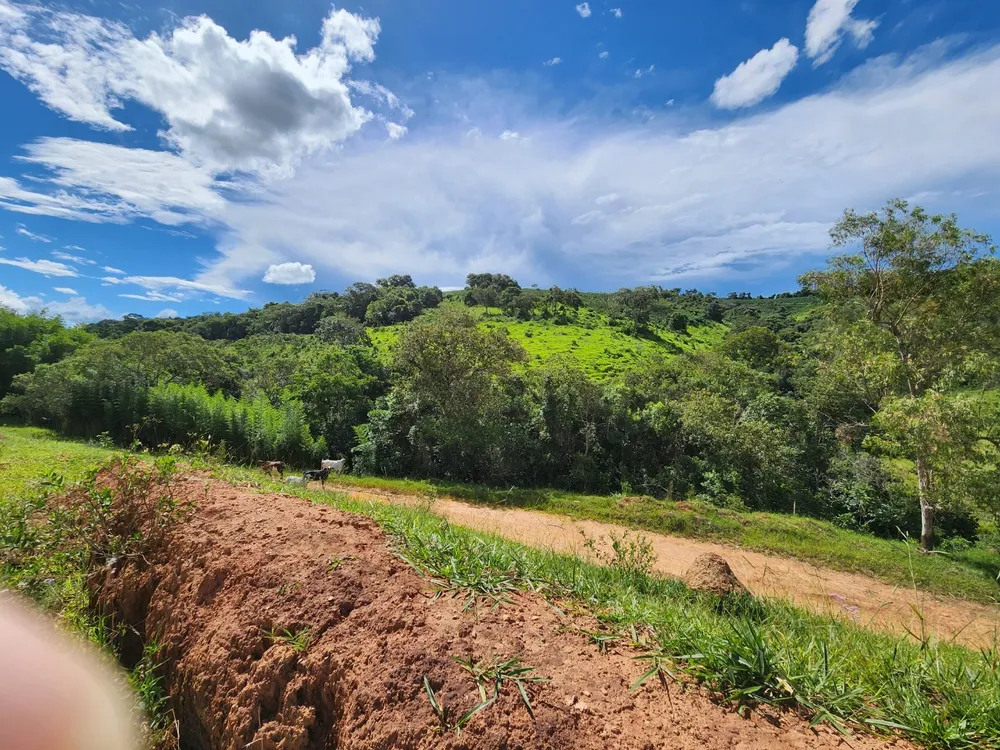 Fazenda, 121 hectares - Foto 1