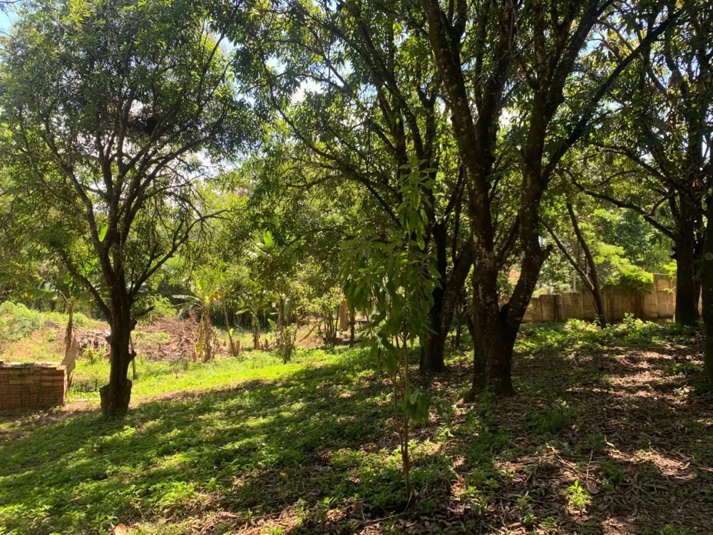 Chácara, 3 quartos, 5100 m² - Foto 8