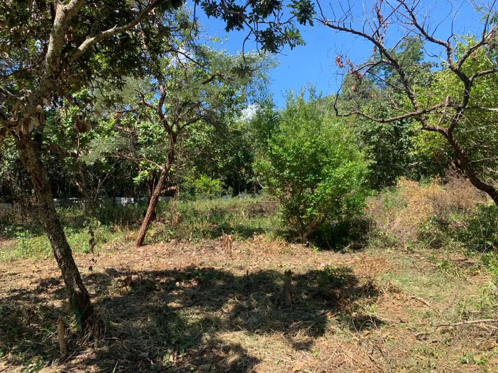Chácara, 3 quartos, 5100 m² - Foto 12