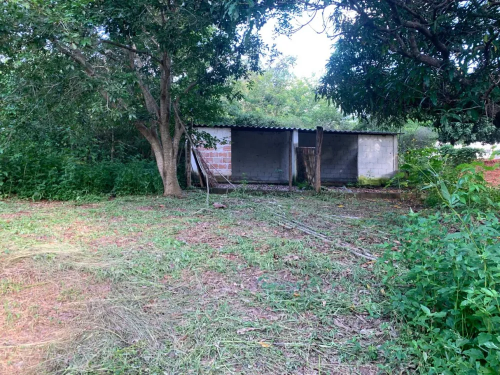 Chácara, 3 quartos, 5100 m² - Foto 5