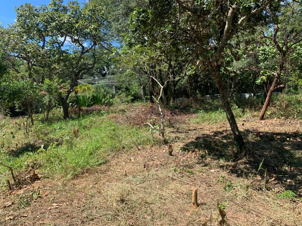 Chácara, 3 quartos, 5100 m² - Foto 11