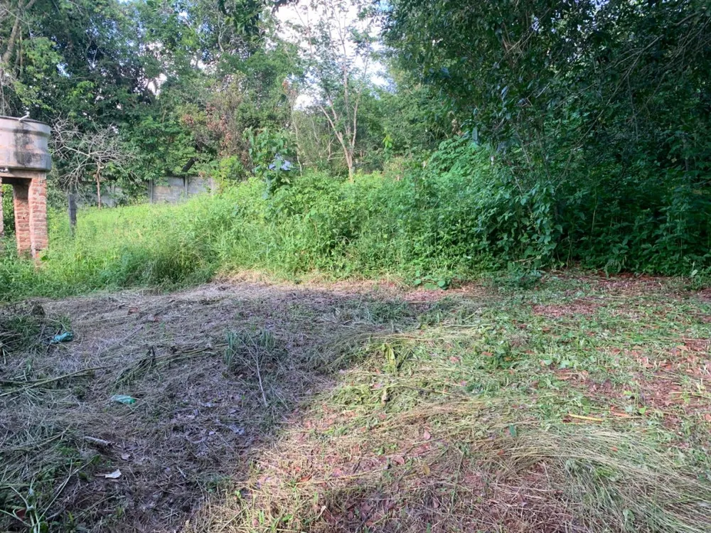 Chácara, 3 quartos, 5100 m² - Foto 7