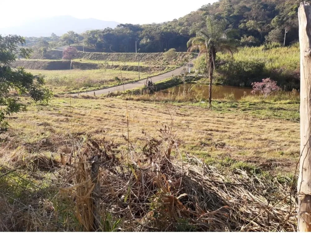 Terreno - Foto 3