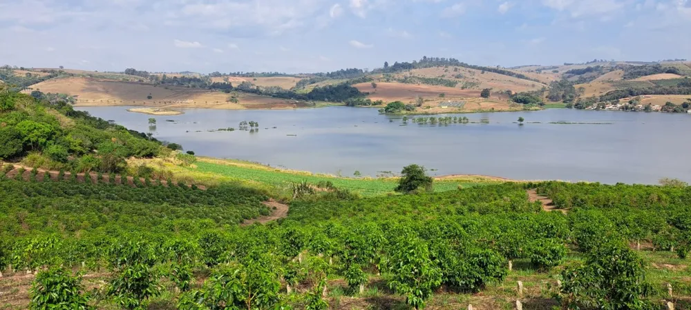 Fazenda, 5 quartos - Foto 3