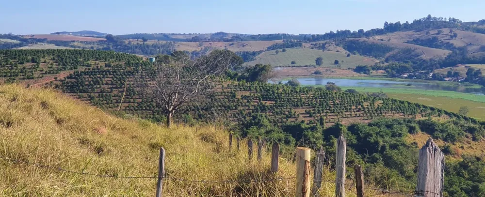Fazenda, 5 quartos - Foto 11