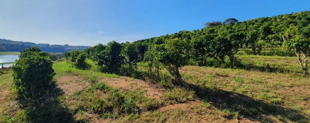 Fazenda, 5 quartos - Foto 10