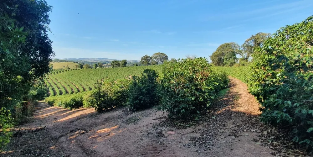 Fazenda, 5 quartos - Foto 12