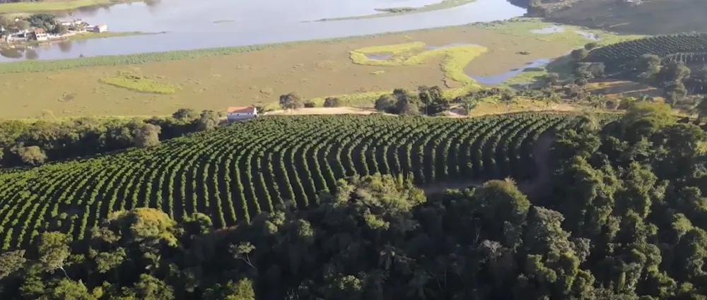 Fazenda, 5 quartos - Foto 4