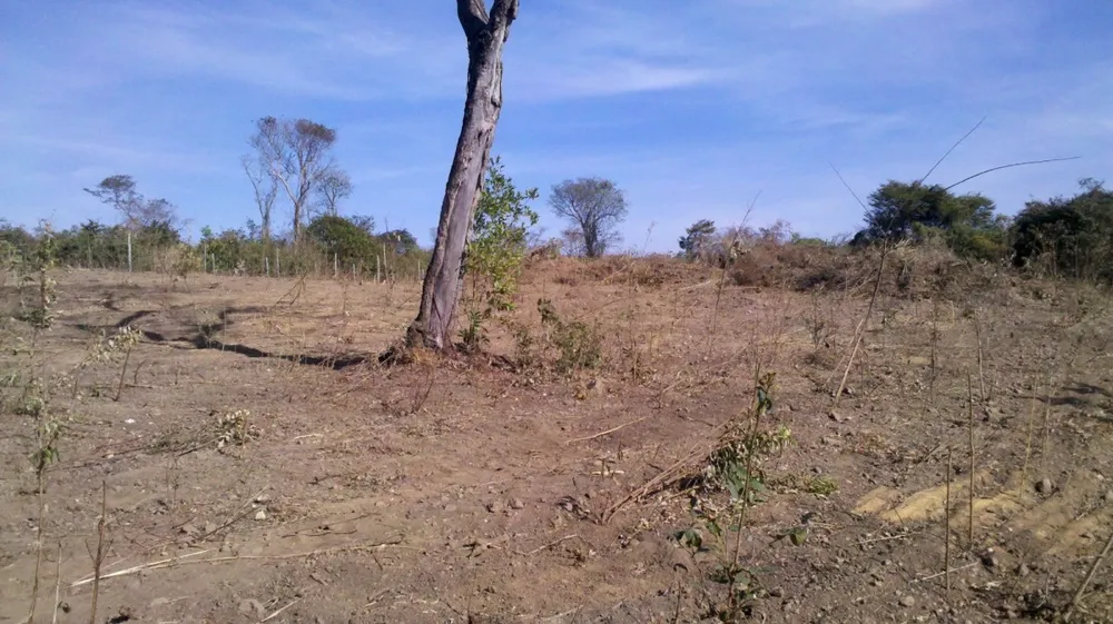 Terreno, 10000 m² - Foto 10