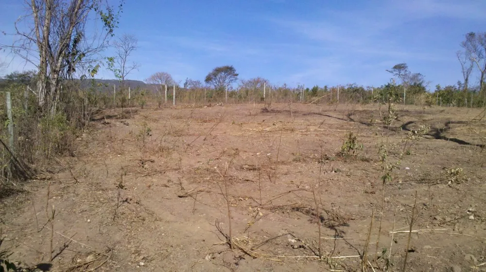 Terreno, 10000 m² - Foto 9