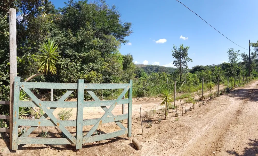 Terreno, 10000 m² - Foto 4