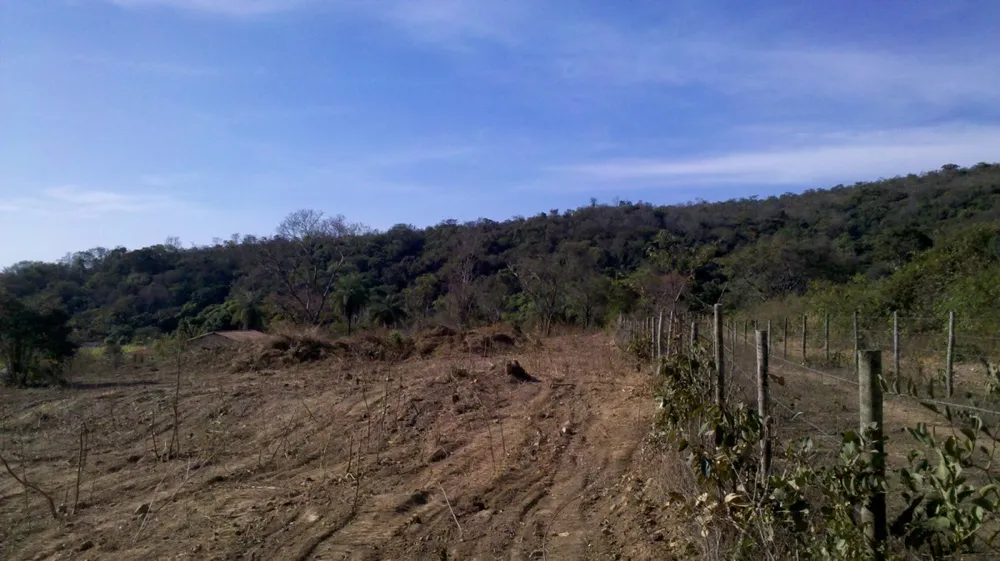 Terreno, 10000 m² - Foto 8