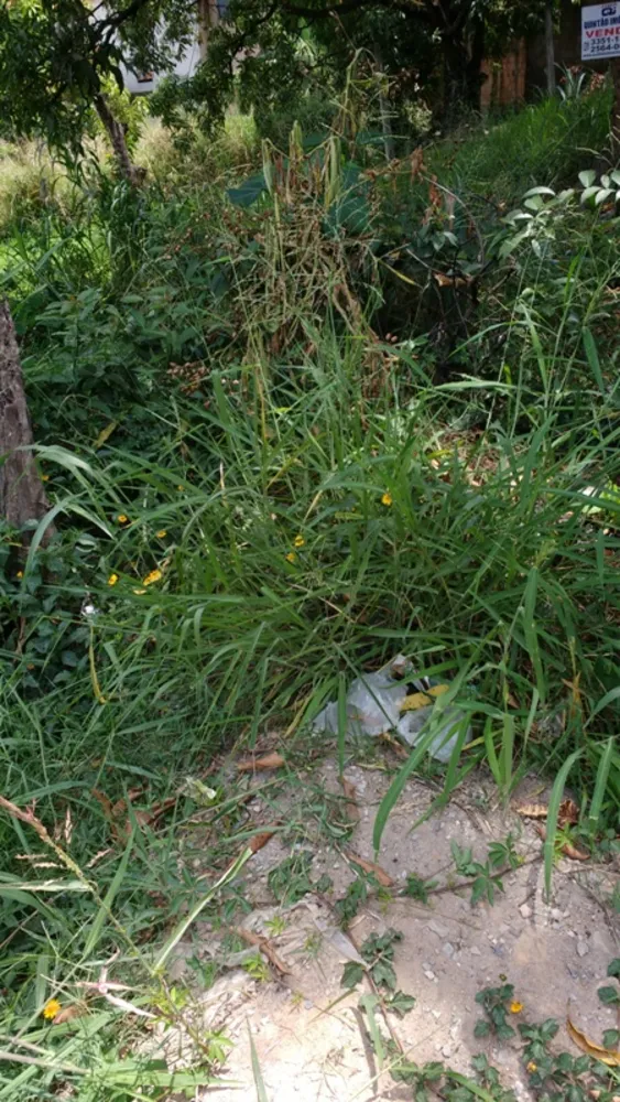 Terreno, 360 m² - Foto 3
