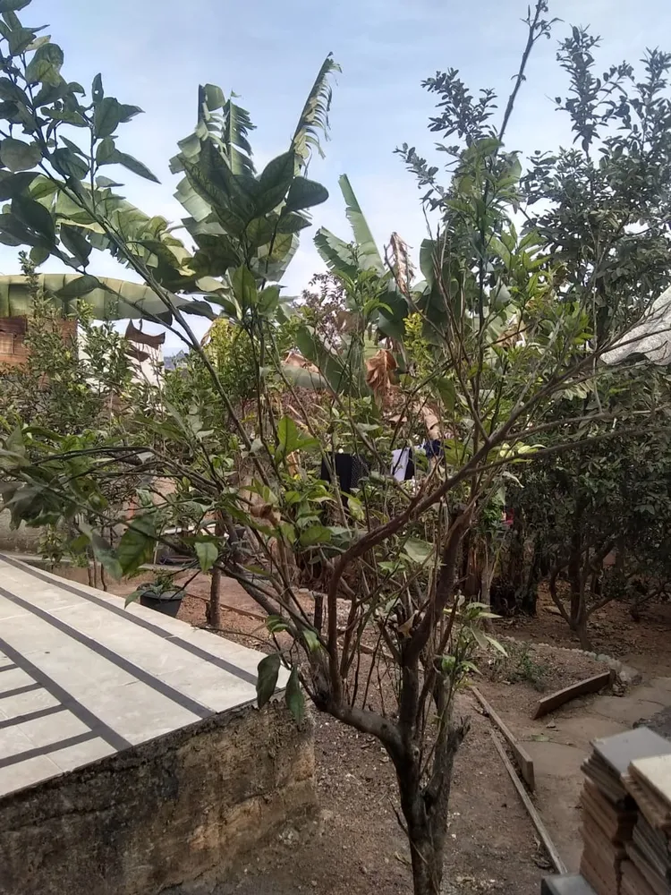 Casa, 2 quartos, 540 m² - Foto 12