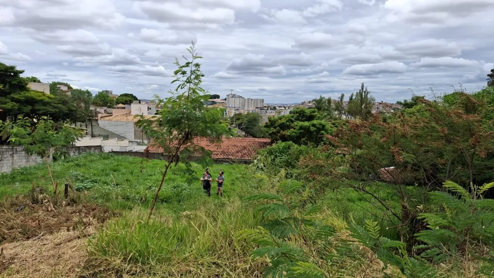 Terreno, 650 m² - Foto 4