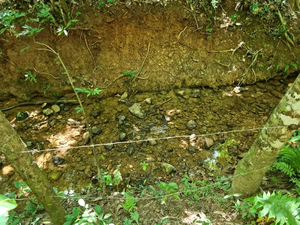 Terreno - Foto 8
