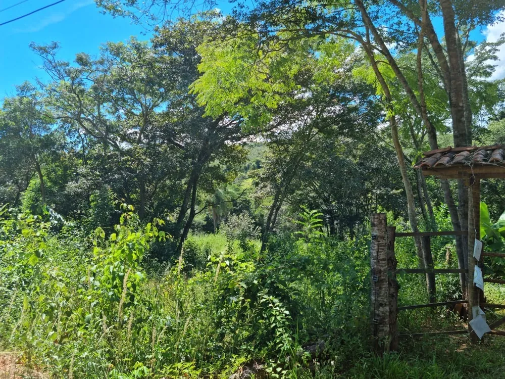 Terreno - Foto 10