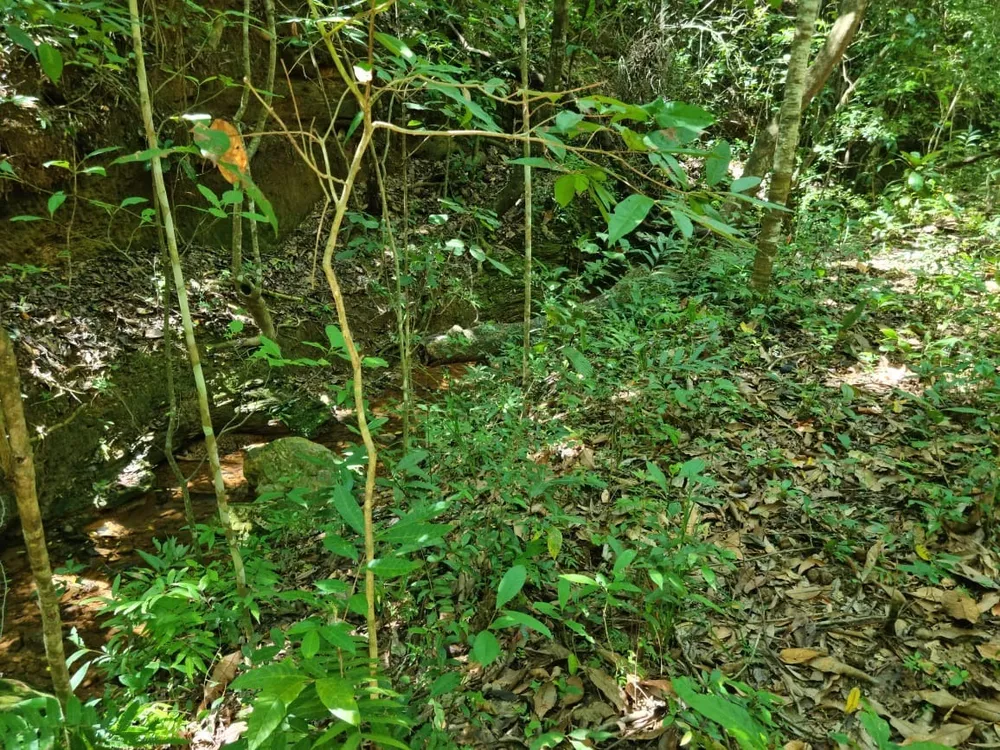 Terreno - Foto 7