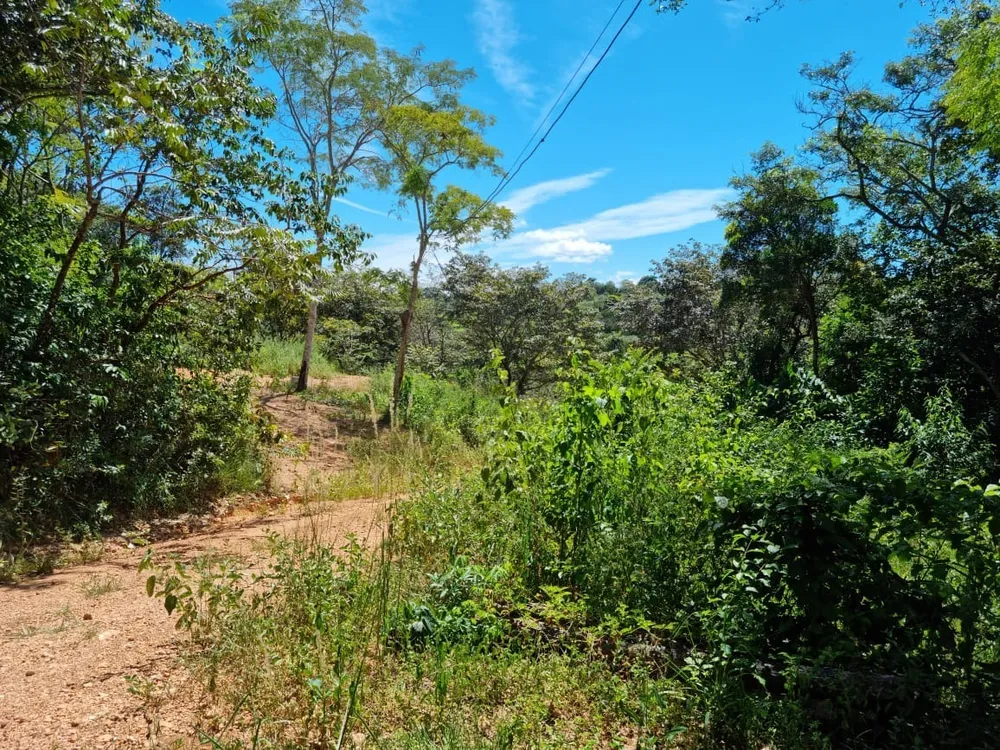 Terreno - Foto 11