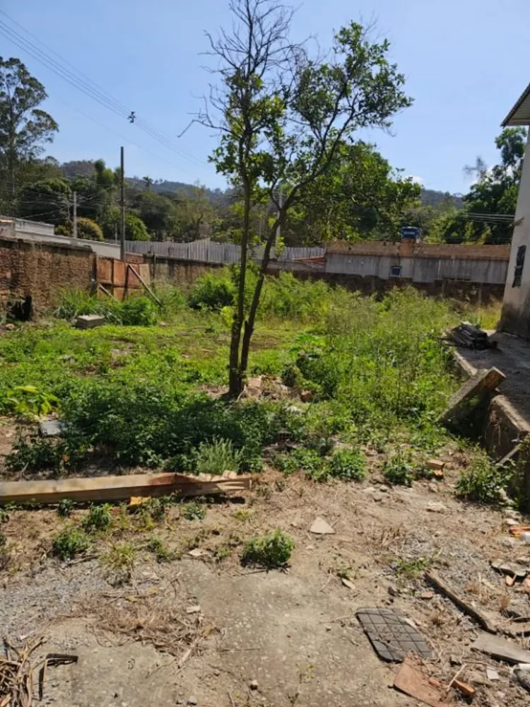 Casa, 4 quartos, 1126 m² - Foto 14