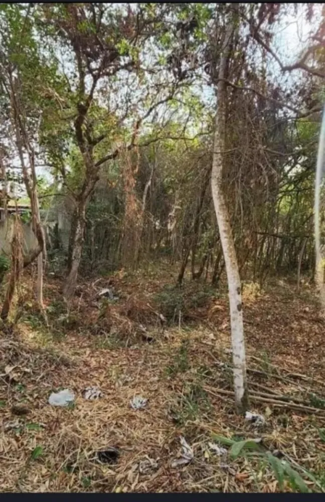 Terreno, 1000 m² - Foto 5