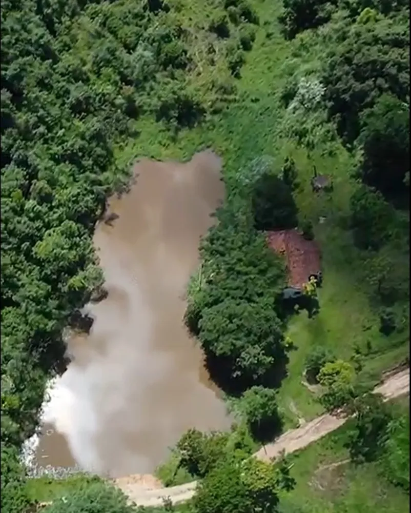 Fazenda, 97 hectares - Foto 4