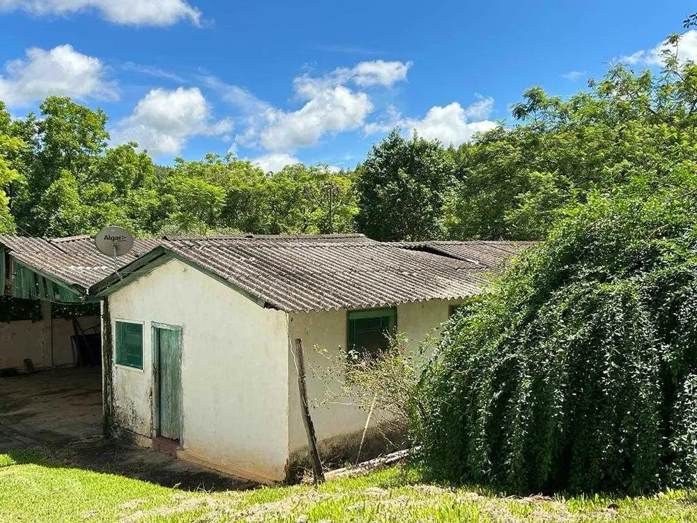 Fazenda, 97 hectares - Foto 10