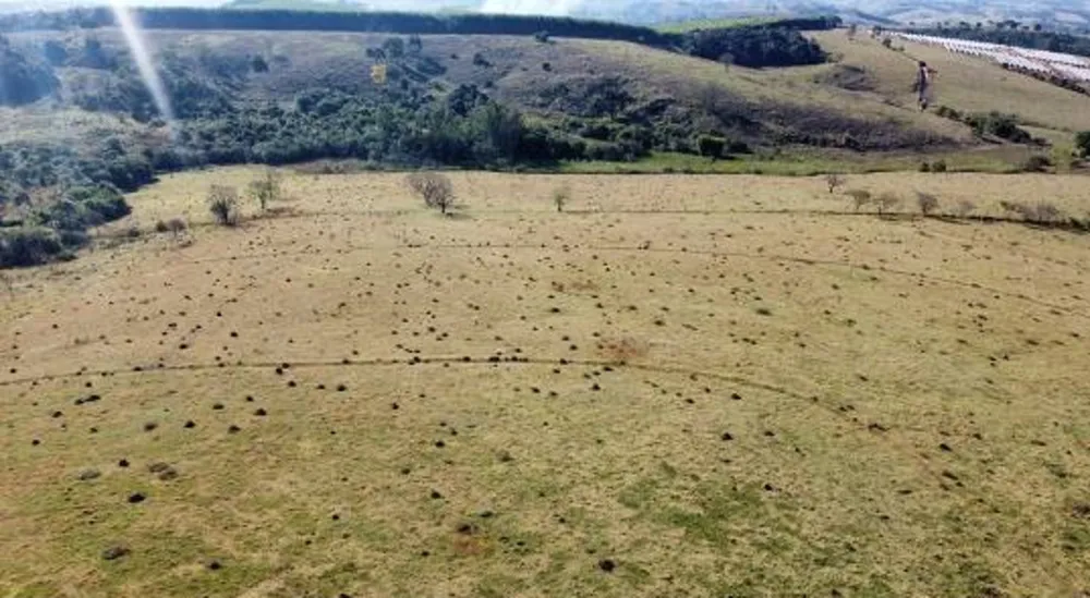 Fazenda, 97 hectares - Foto 3