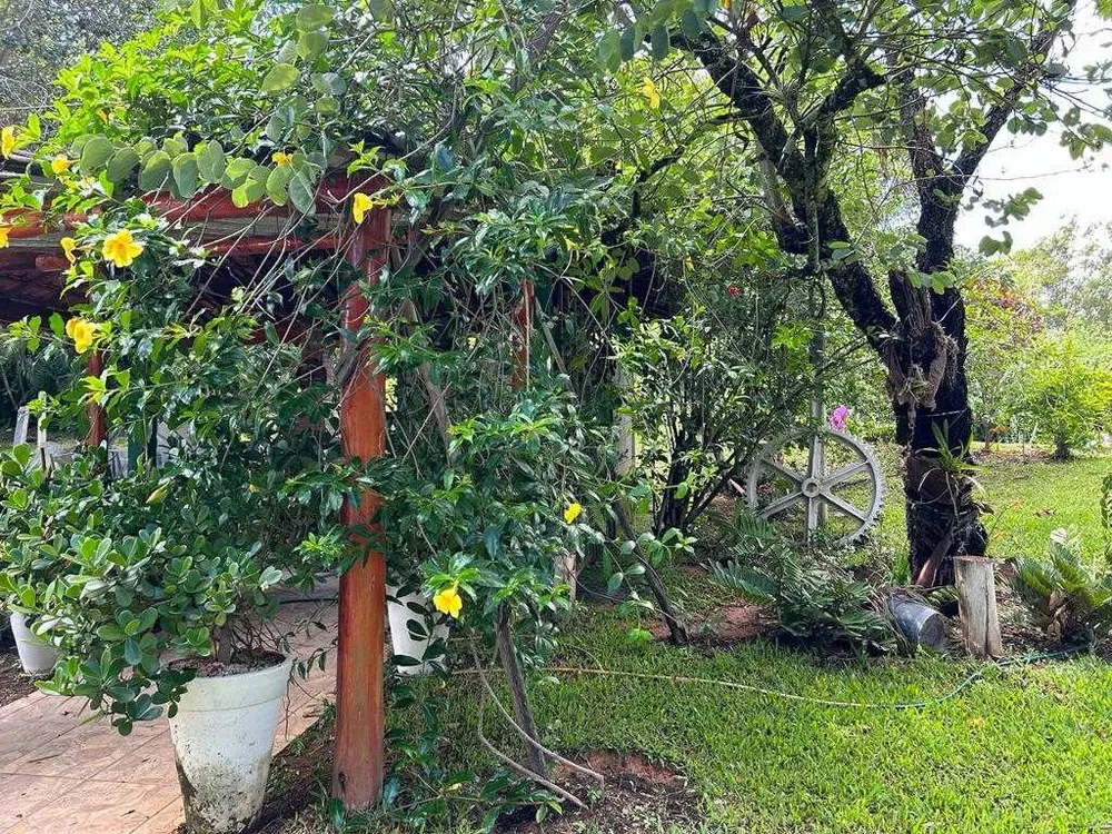 Fazenda, 97 hectares - Foto 8