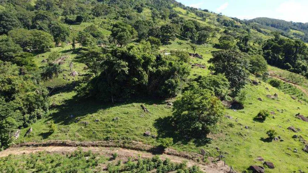 Fazenda, 97 hectares - Foto 7