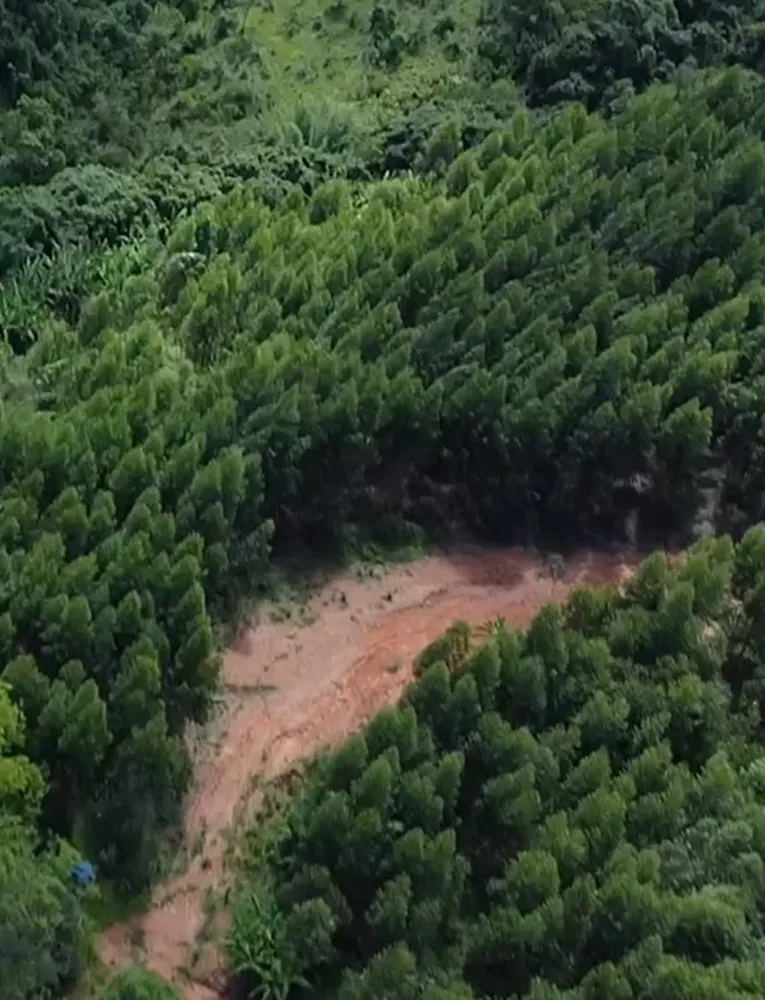 Fazenda, 97 hectares - Foto 6