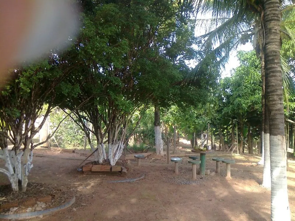 Chácara, 5 quartos - Foto 6