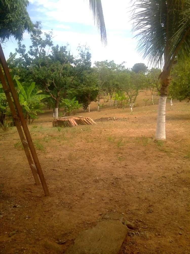 Chácara, 5 quartos - Foto 5