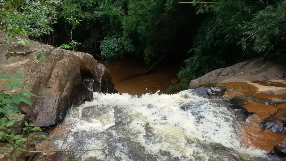 Fazenda, 52 hectares - Foto 8