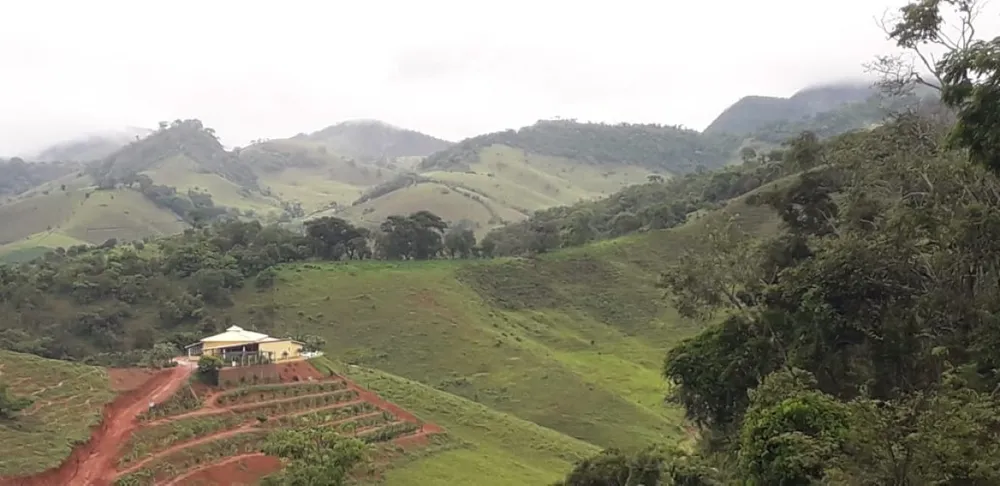 Fazenda, 52 hectares - Foto 10