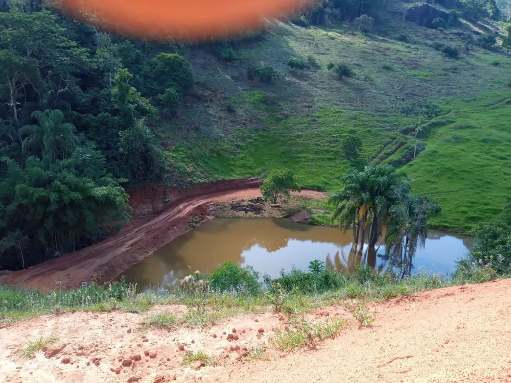 Fazenda, 52 hectares - Foto 10